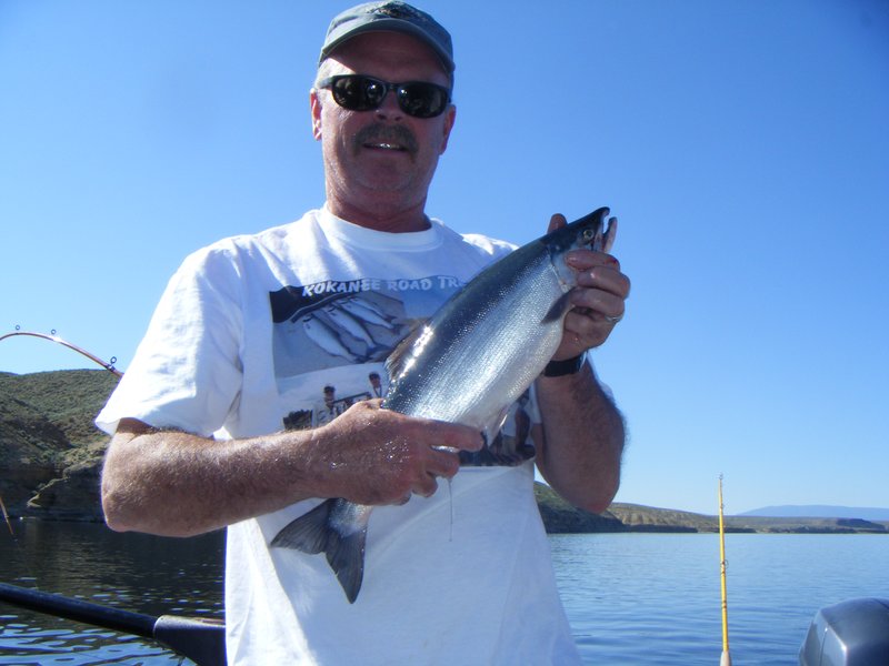 Nice Kokanee
