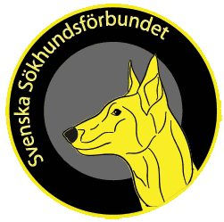 374745716_10160509460299230_8452047164326519543_n