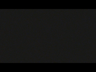 intro website3.gif