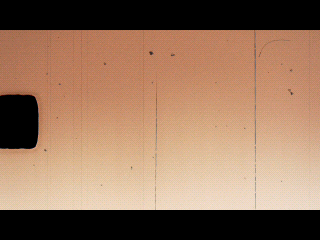 video overlay 9 pro.gif