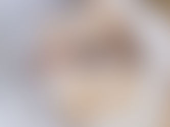 La teigne chez le cochon d’Inde : comment la traiter sans paniquer ?