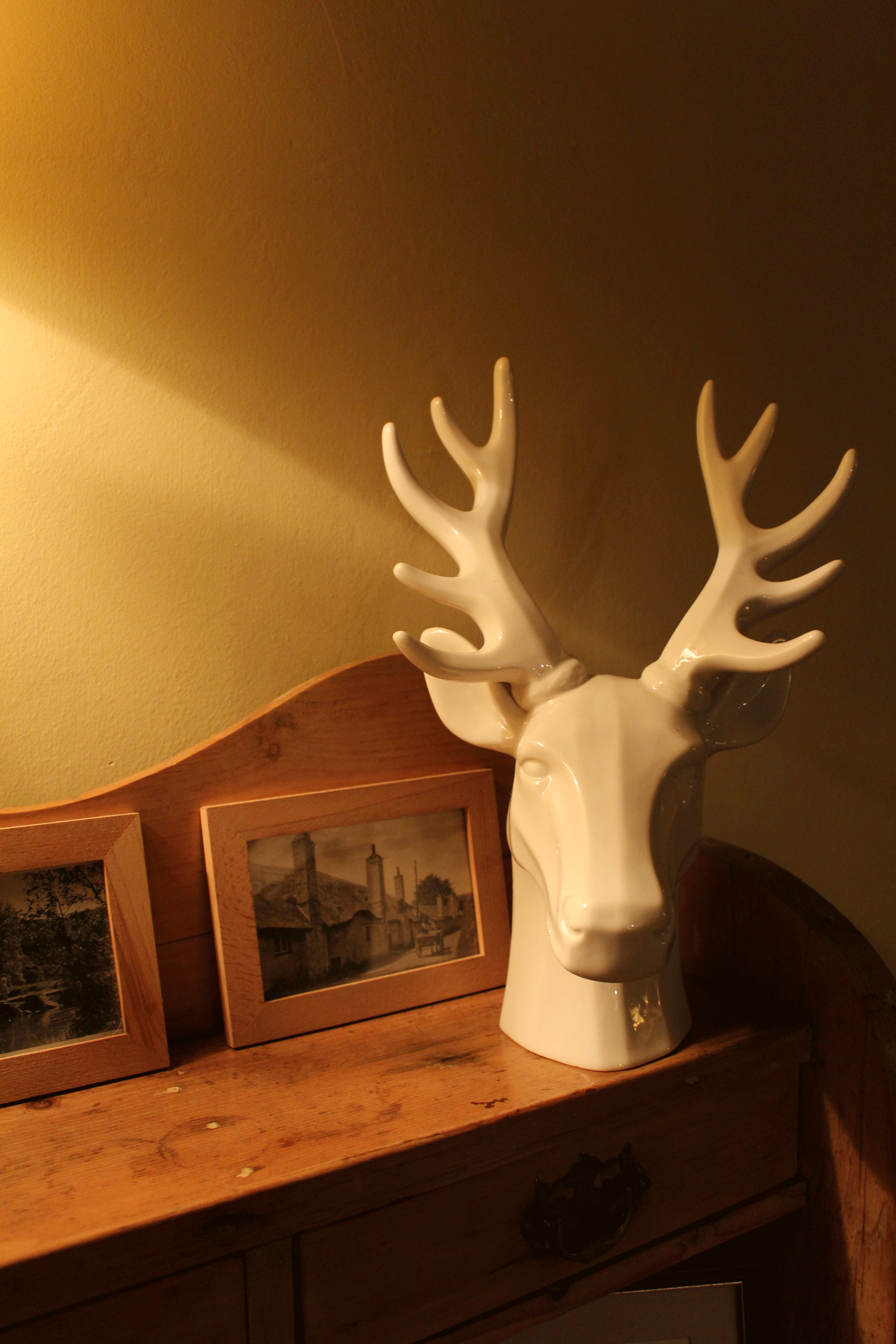 Stags Head Woodlands House