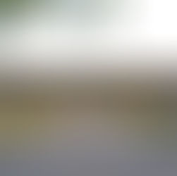 The Chinese Worldview in Three Objects