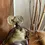 Thumbnail: Bobaraba Ida Bronze sculpture