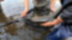 Still 2026-01-12 093810_2.6.1.jpg