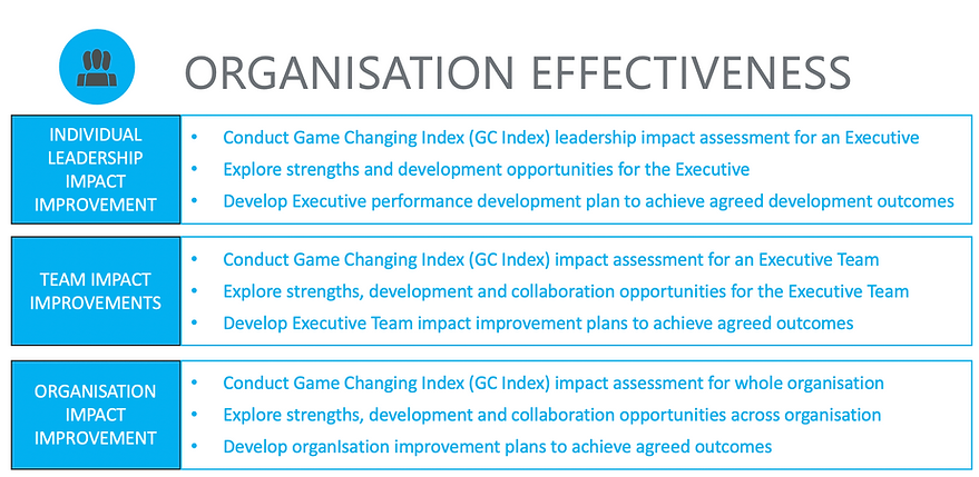 Organisation Effectiveness 2.png