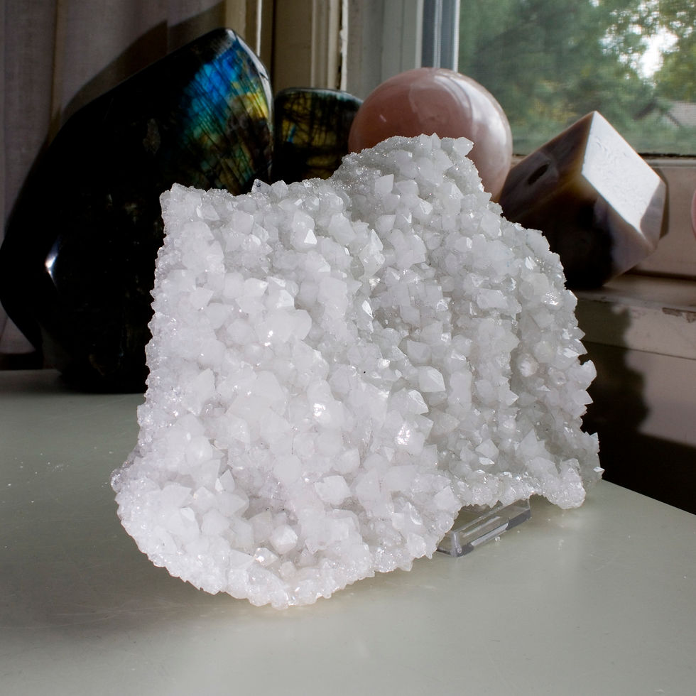 One side of this no-contact curved geode-plate of Apophyllite features hundreds of double terminated crystals of White Apophy