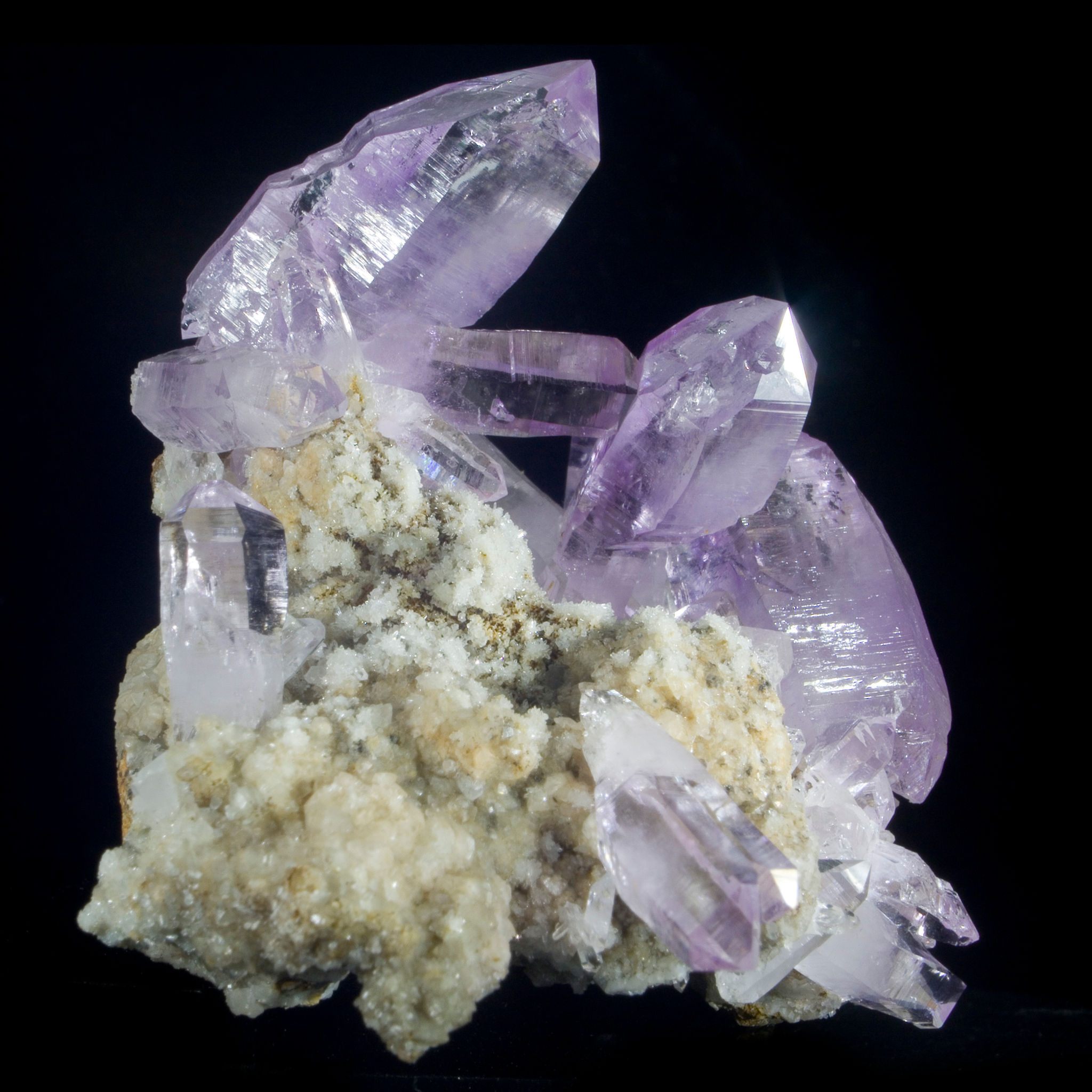 Amethyst - Vera Cruz, Mexico - Studio Mineralia Earth Art Gallery