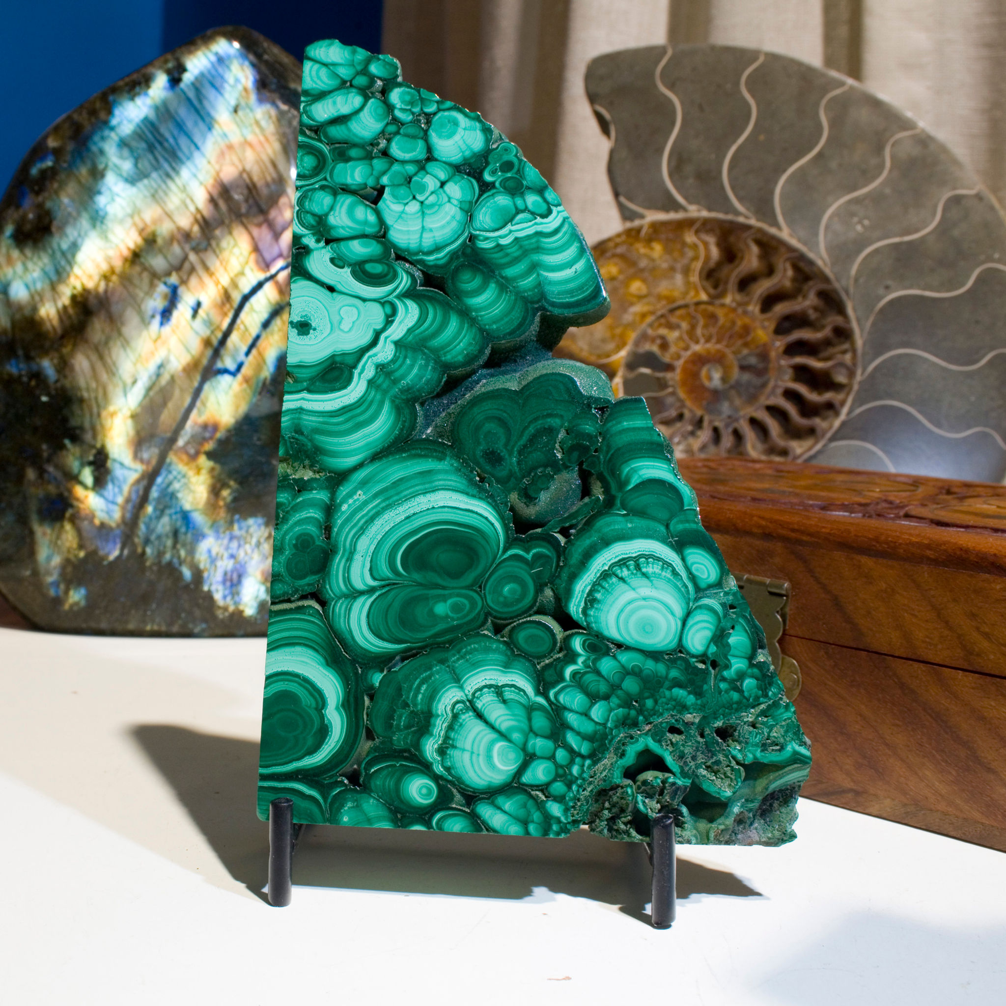 Malachite Plate - D.R. Congo - Studio Mineralia Earth Art Gallery