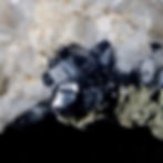 Babingtonite and Calcite with Prehnite - Roncari Quarry, Connecticut - Studio Mineralia Earth Art Gallery