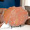 Thumbnail: 8 Inch Petrified Wood Plate with Metal Stand - Madagascar - Studio Mineralia Earth Art Gallery