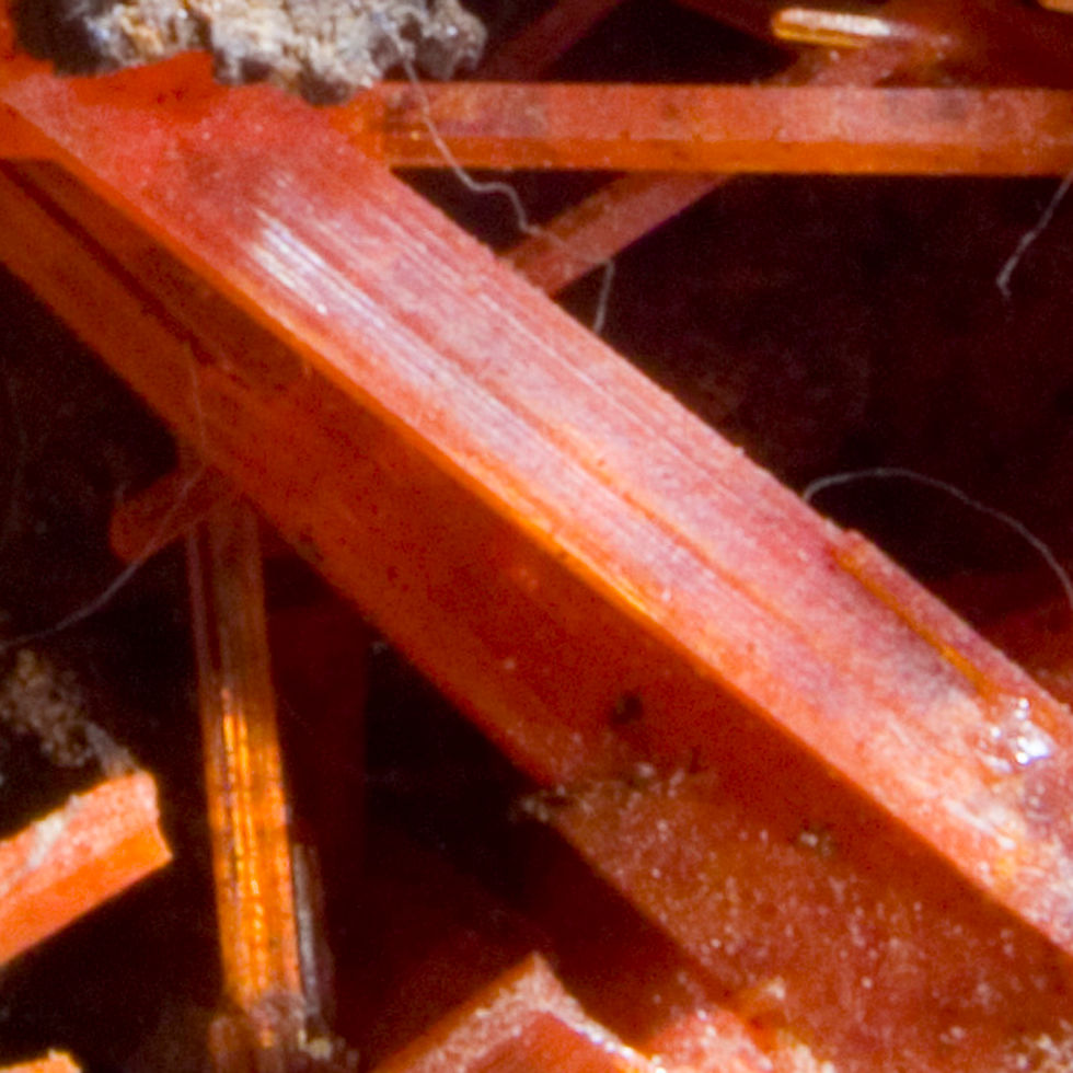 Thumbnail: Crocoite - Adelaide Mine, Tasmania - Studio Mineralia Earth Art Gallery