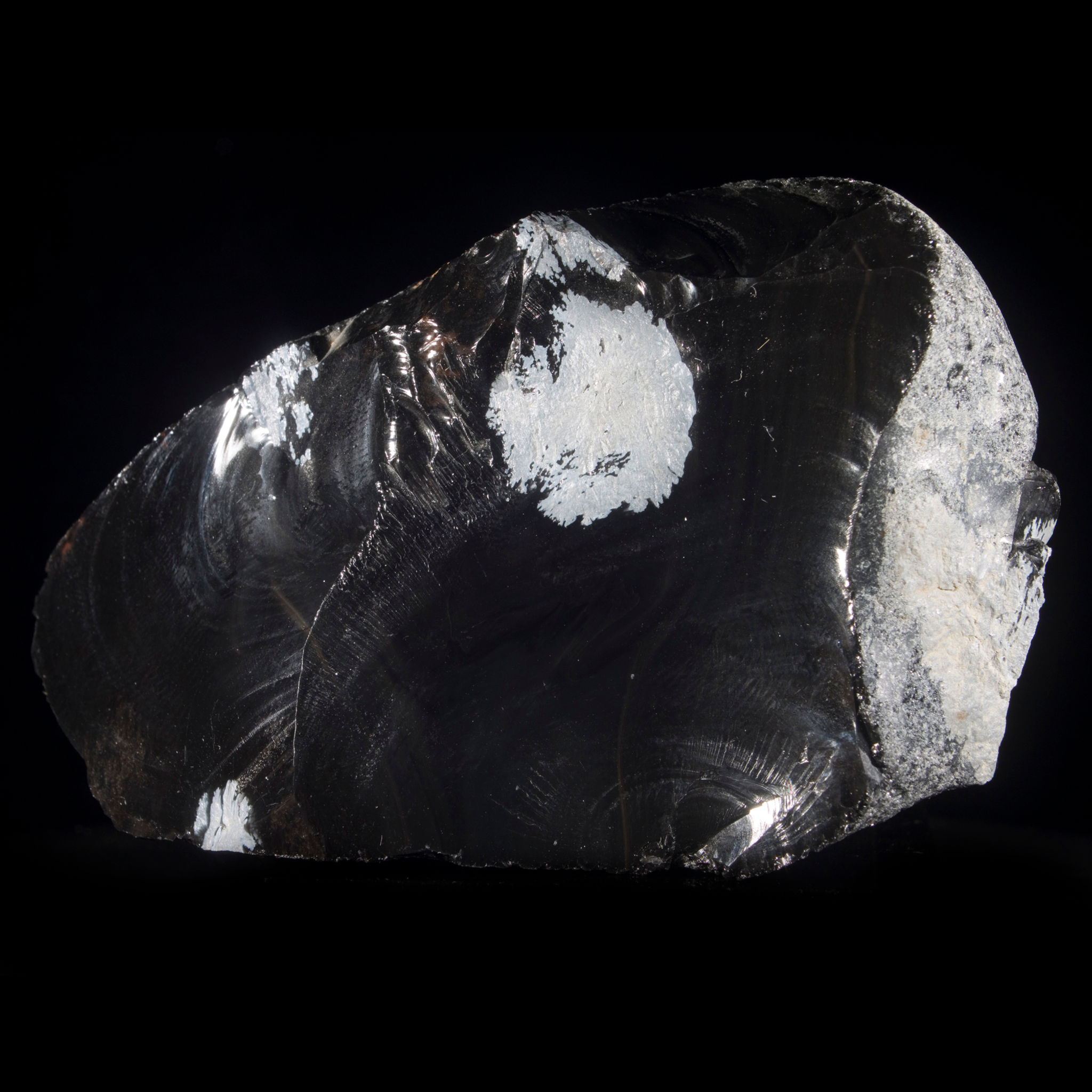 Obsidian, a glossy black volcanic glass, highlighted by a large white “snowflake” spherulite of Cristobalite . Wyoming