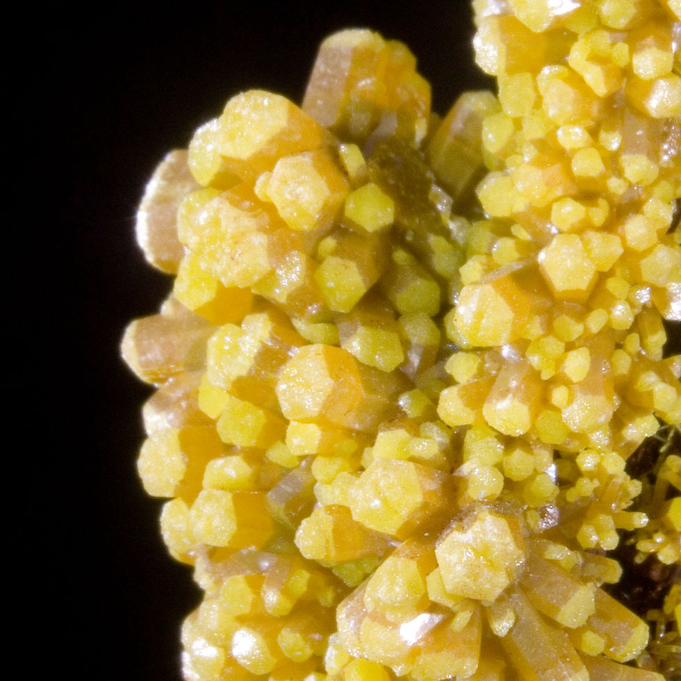 Thumbnail: Pyromorphite - Les Farges, Ussel, France - Studio Mineralia Earth Art Gallery