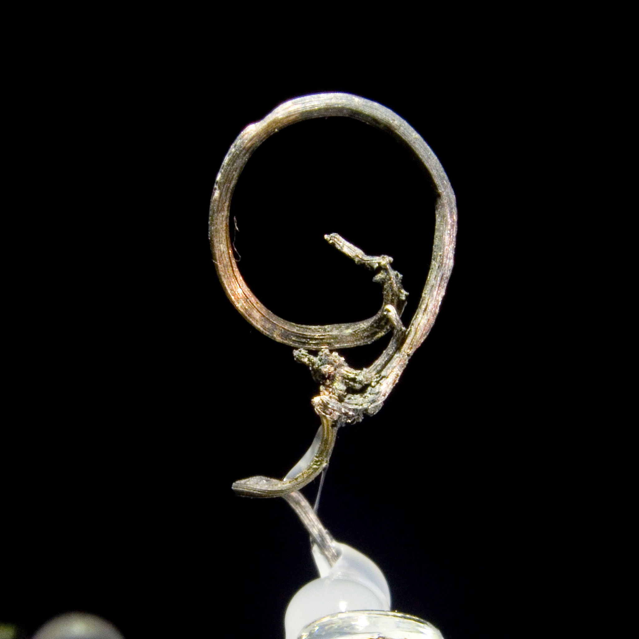 Native Silver - Bulldog Mountain Mine, Colorado - Studio Mineralia Earth Art Gallery