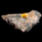 Wulfenite with Mottramite - 79 Mine, Arizona - Studio Mineralia Earth Art Gallery