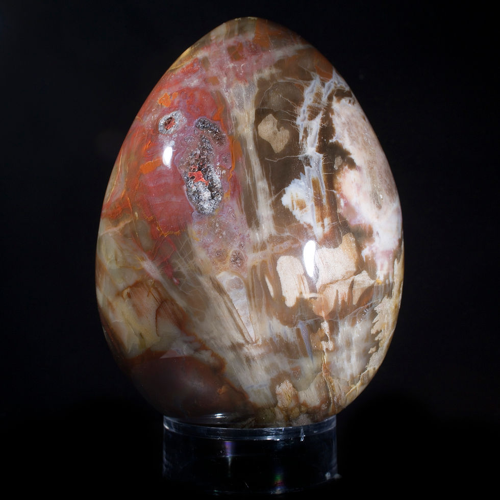A traditional symbol of both the ancient past and of constant rebirth this large, hand polished egg of authentic Madagascar P