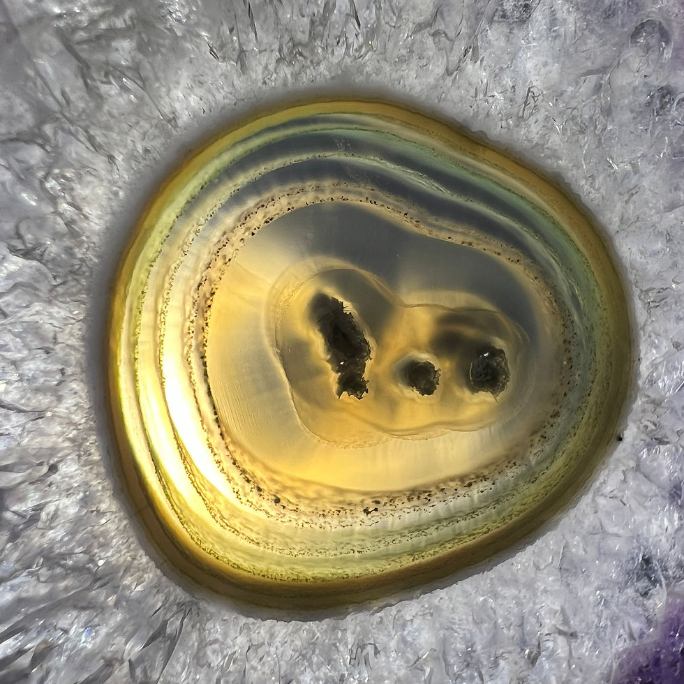 Large Amethyst Stalactite Slice with Stand - Artigas, Uruguay - Studio Mineralia Earth Art Gallery