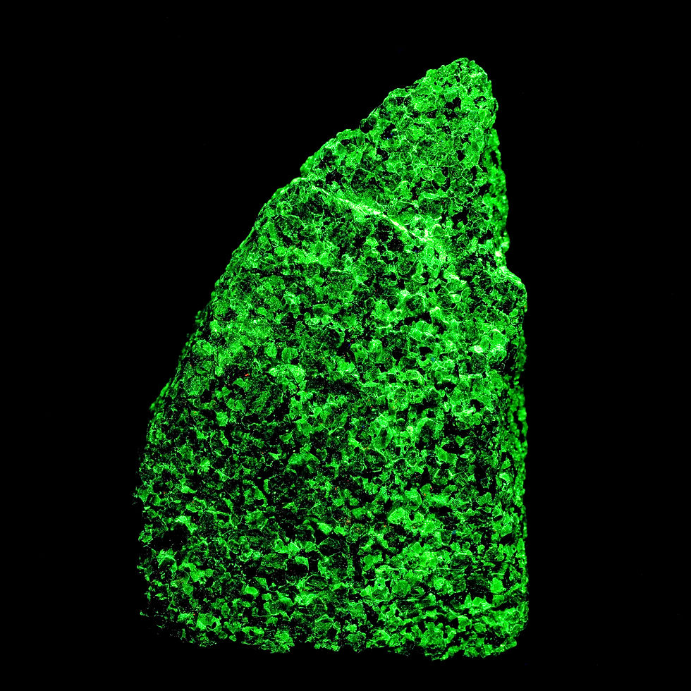 Thumbnail: conglomerate of large-grained, gemmy Willemite crystals with Franklinite and minor Calcite is highly fluorescent on all sides