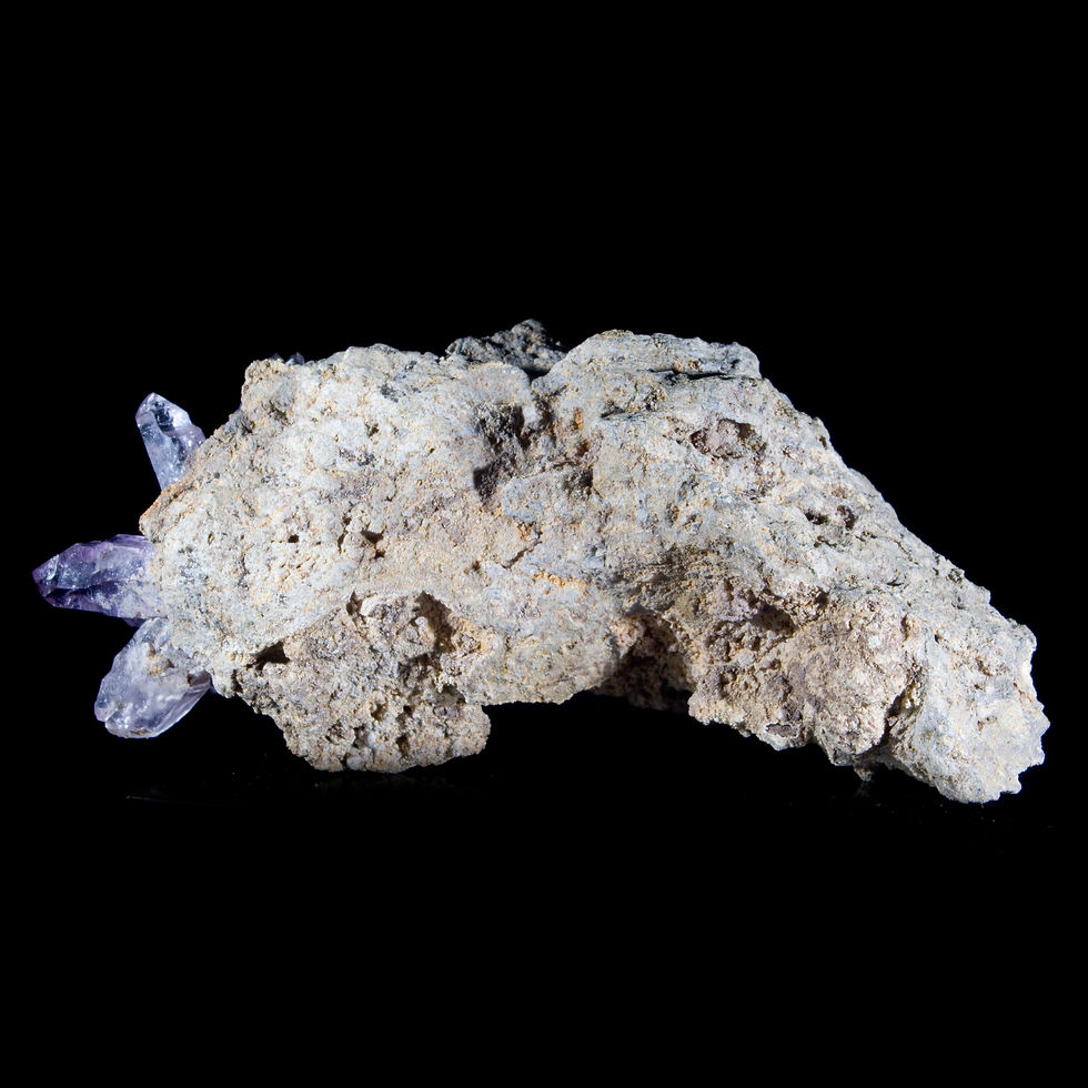 Thumbnail: Amethyst Flower on Matrix - Vera Cruz, Mexico - Studio Mineralia Earth Art Gallery