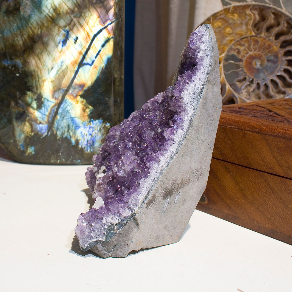 Thumbnail: Amethyst on Basalt - Brazil - Studio Mineralia Earth Art Gallery Inspirational Natural Decor