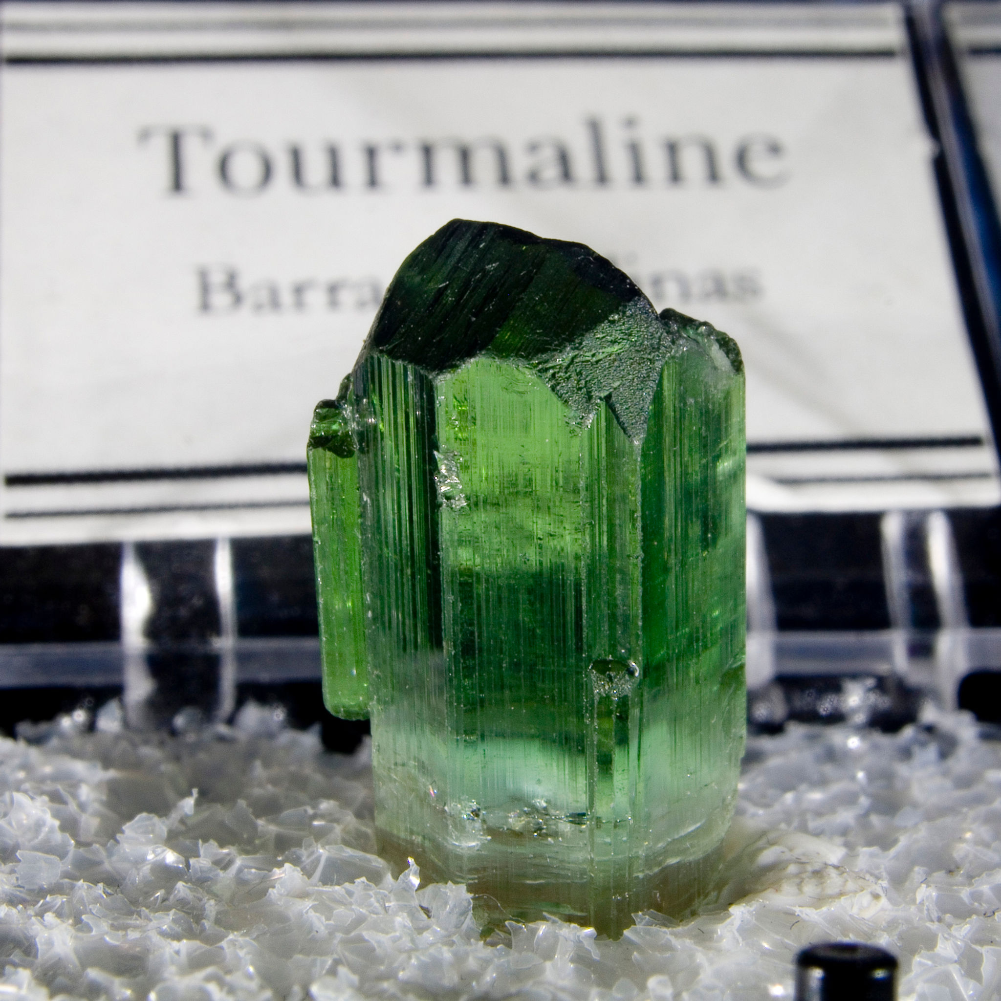 Tourmaline - Barra do Salinas, Brazil - Studio Mineralia Earth Art Gallery