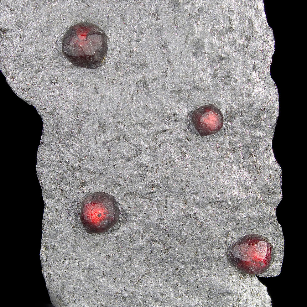 Almandine-Pyrope Garnet in Graphite Plate - Red Embers Mine, MA - Studio Mineralia Earth Art Gallery