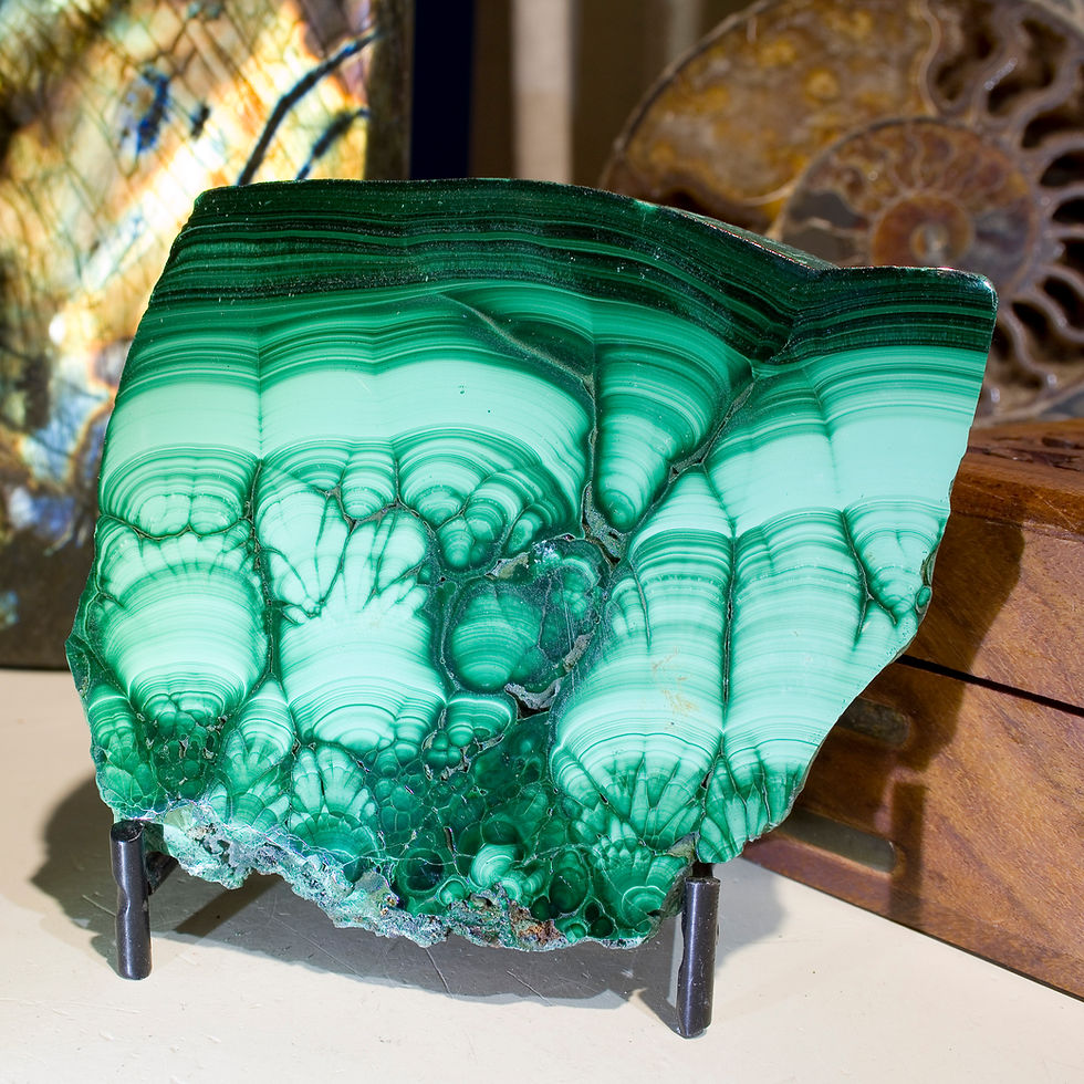 Thumbnail: Malachite Plate - D.R. Congo - Studio Mineralia Earth Art Gallery