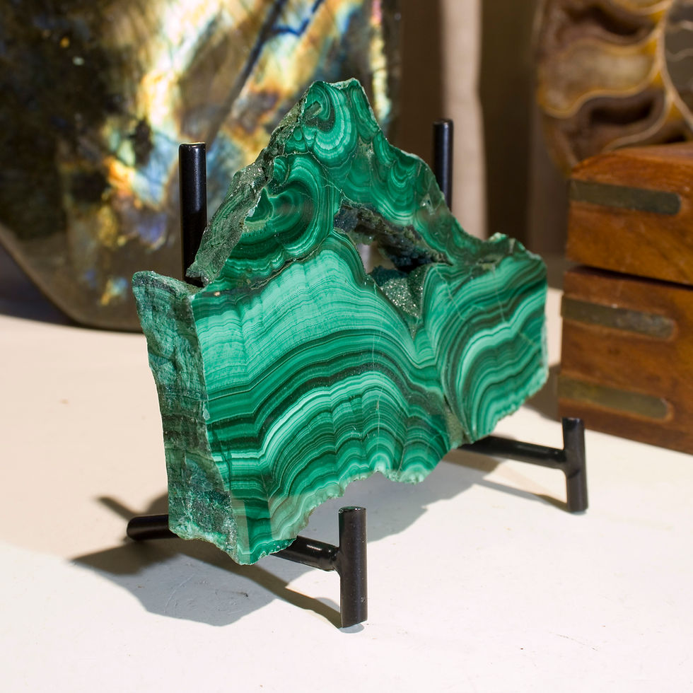 Thumbnail: The compelling concentricity of Congolese Malachite. Studio Mineralia Earth Art Gallery