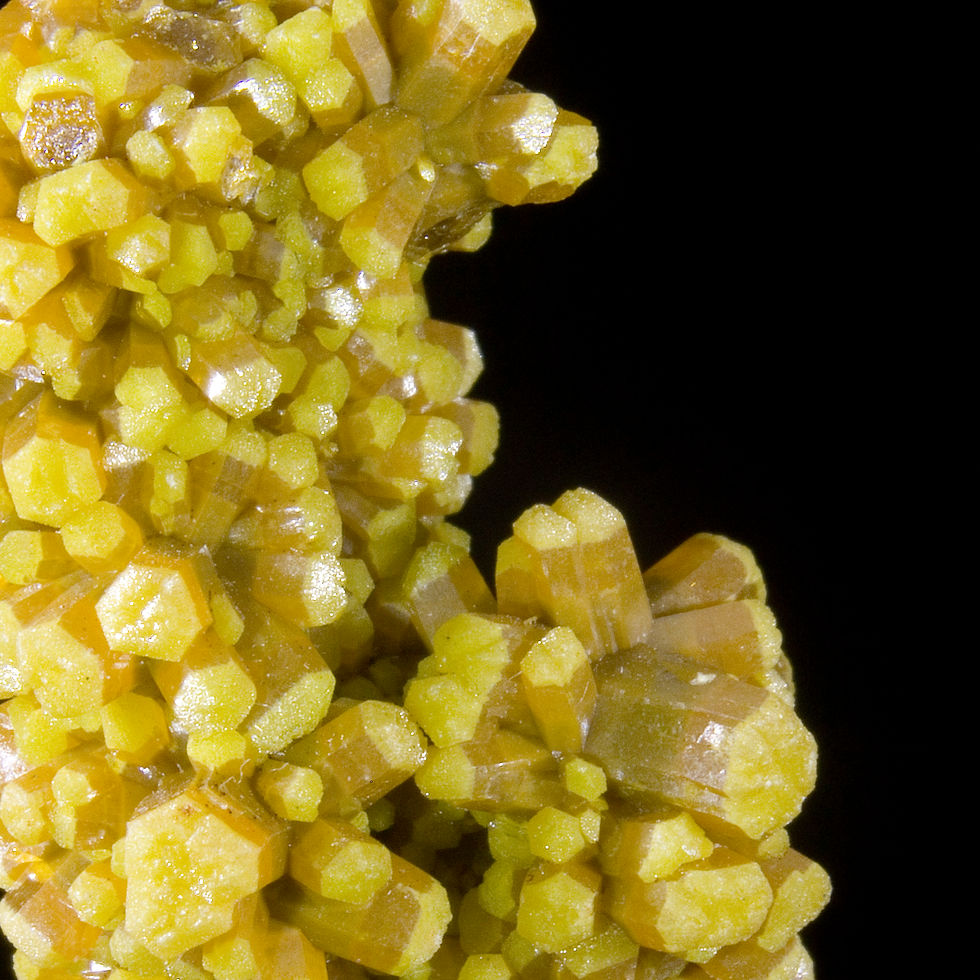 Thumbnail: Pyromorphite - Les Farges, Ussel, France - Studio Mineralia Earth Art Gallery