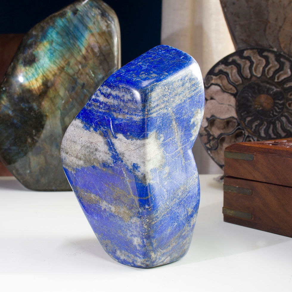 Polished Afghan Lapis Lazuli swirls with bands of Sodalite and sparkling golden Pyrite. Bright and beautiful natural decor. H