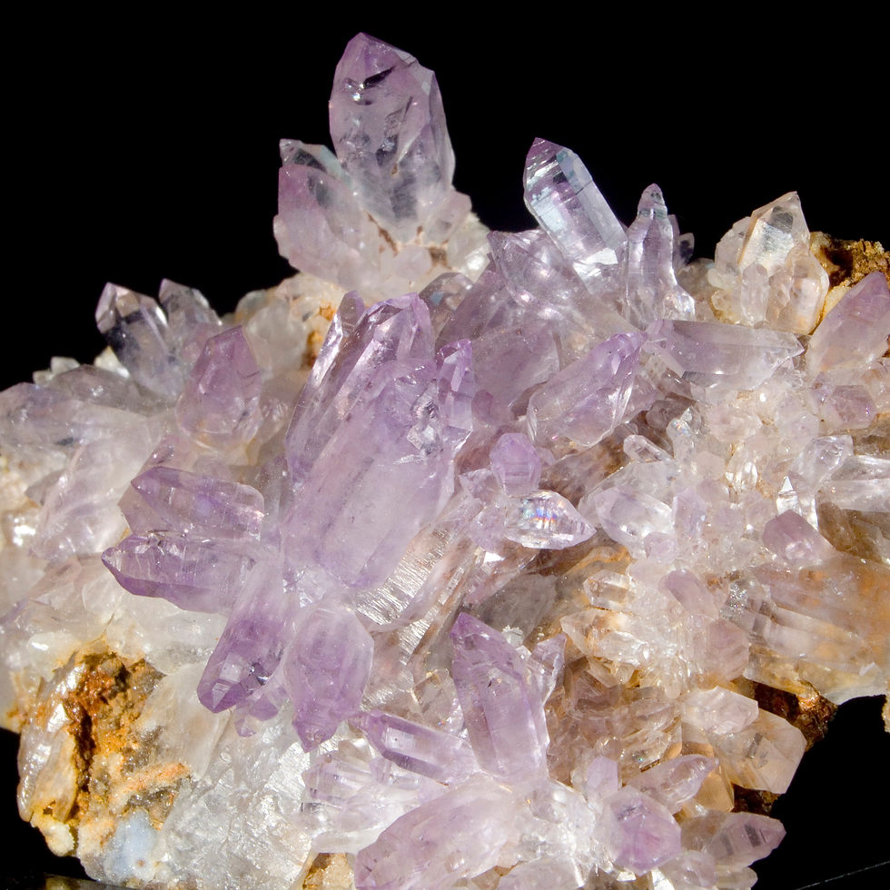 Matrix Amethyst Cluster- Vera Cruz, Mexico - Studio Mineralia Earth Art Gallery
