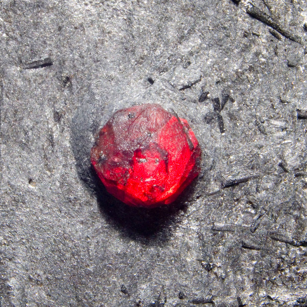 Thumbnail: Almandine-Pyrope Garnet in Graphite with Dravite Tourmaline. Red Embers Mine, MA - Studio Mineralia Earth Art Gallery