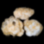 Unopened Chalcedony Geodes! Be the first to see what is inside! Three small to medium Chalcedony geodes containing Quartz