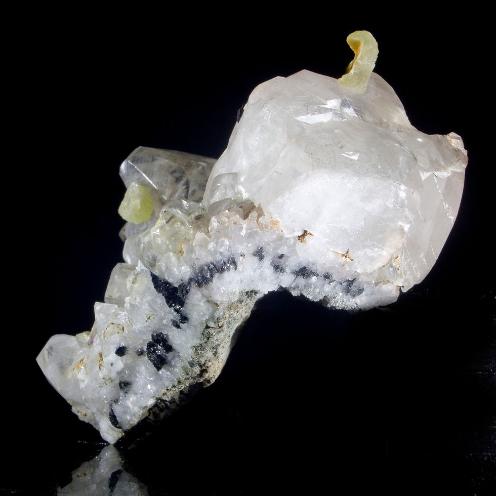 Babingtonite and Calcite with Prehnite - Roncari Quarry, Connecticut - Studio Mineralia Earth Art Gallery