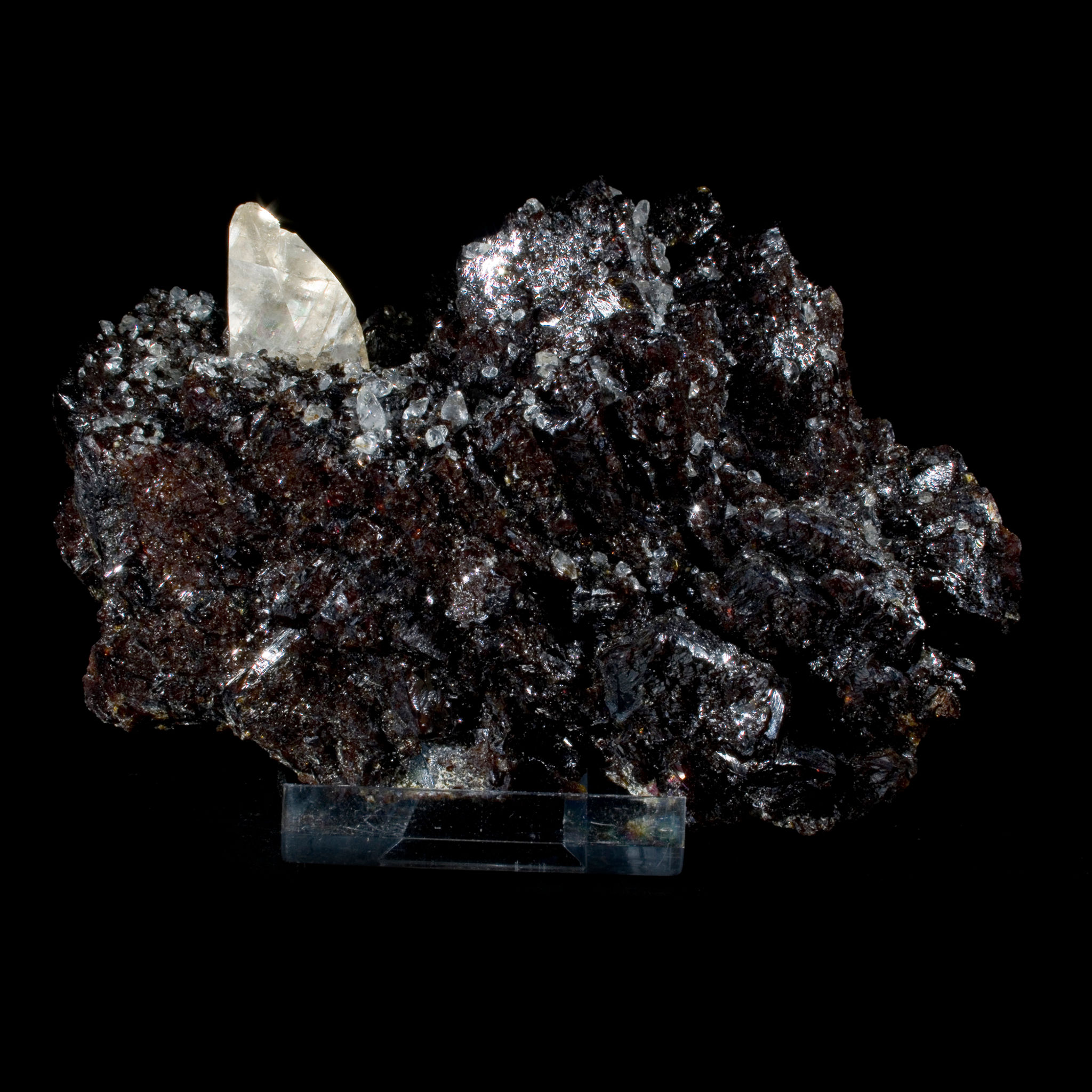 Calcite on Sphalerite - Elmwood Mine, Tennessee, USA - Studio Mineralia Earth Art Gallery