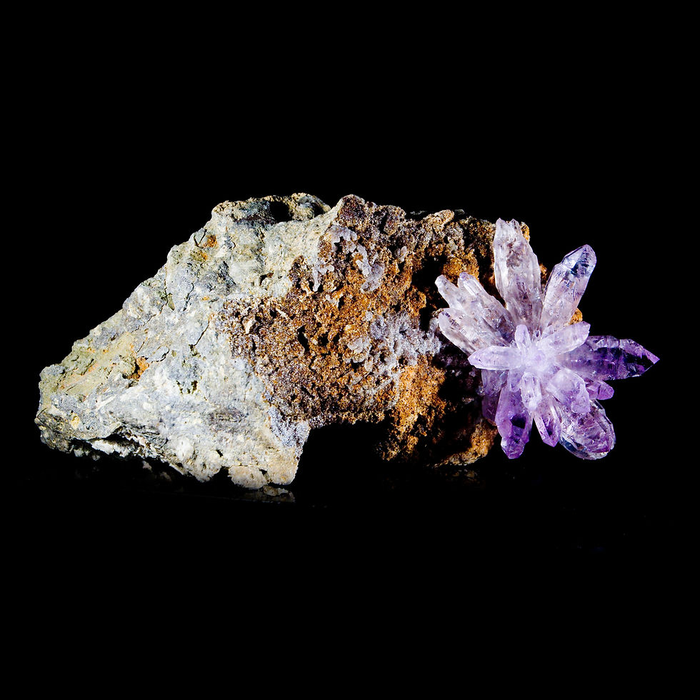 Thumbnail: Amethyst Flower on Matrix - Vera Cruz, Mexico - Studio Mineralia Earth Art Gallery