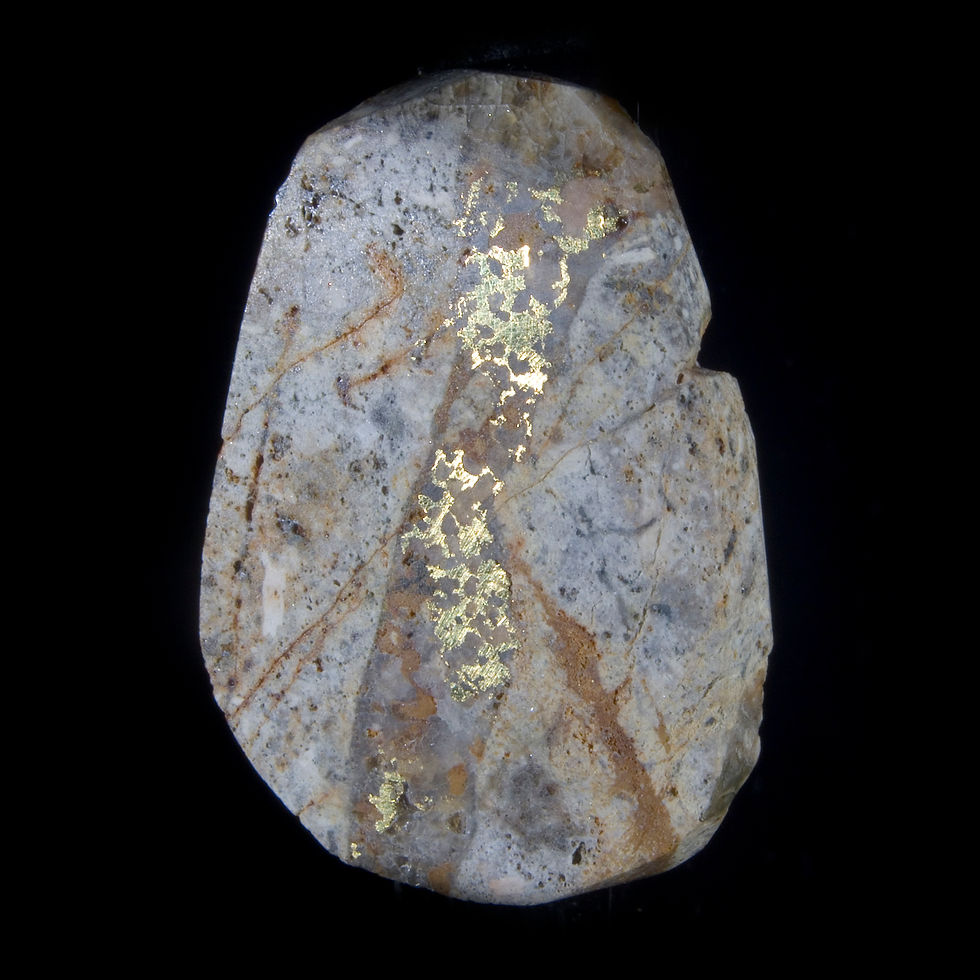 Rough Polished Gold in Quartz Vein - Homestake Mine, South Dakota - Studio Mineralia