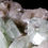 Thumbnail: Excellent terminations complete these gemmy crystals of Green Apophyllite on multiple generations of Stilbite. The white and