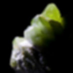 A self-standing cluster of terminated green Peridot crystals. - Sapat Valley, Pakistan - Studio Mineralia Earth Art Gallery