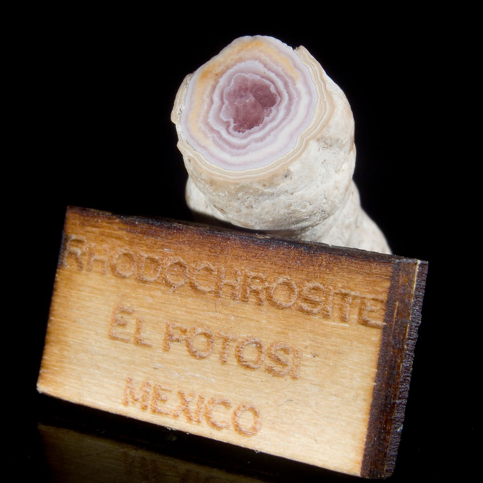 Thumbnail: Rhodochrosite Stalactite Miniature - El Potosi, Mexico - Studio Mineralia Earth Art Gallery