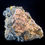 Thumbnail: Wulfenite - Glove Mine, Arizona, USA - Studio Mineralia Earth Art Gallery