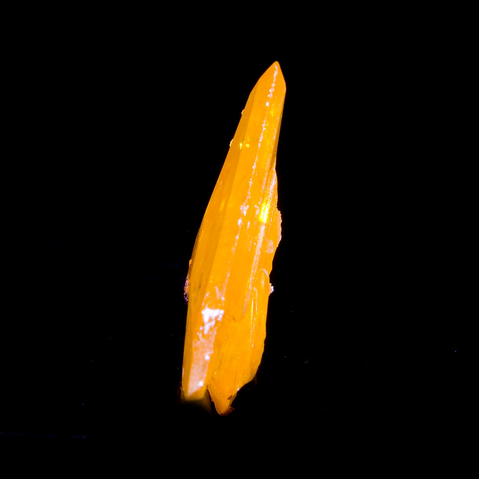 Thumbnail: Large Wulfenite Crystal - 79 Mine, Arizona - Possibly Sentient - Studio Mineralia Earth Art Gallery