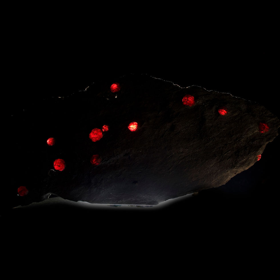 Thumbnail: Almandine-Pyrope Garnet and Dravite Tourmaline in Graphite - Red Embers Mine, MA - Studio Mineralia Earth Art Gallery