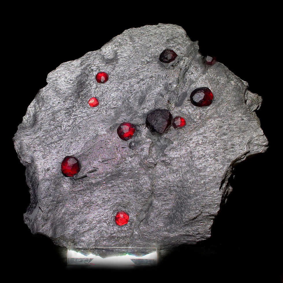Almandine-Pyrope Garnet in Graphite Plate - Red Embers Mine, MA - Studio Mineralia Earth Art Gallery