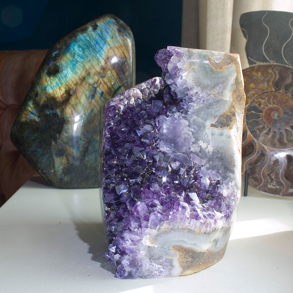 Thumbnail: Dynamic, Cut Base Amethyst Geode - Brazil - Studio Mineralia Earth Art Gallery