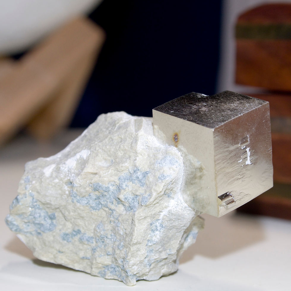 One large and two tiny crystals of lustrous cubic Pyrite on the Marl matrix in which they grew. This form and quality of Pyri