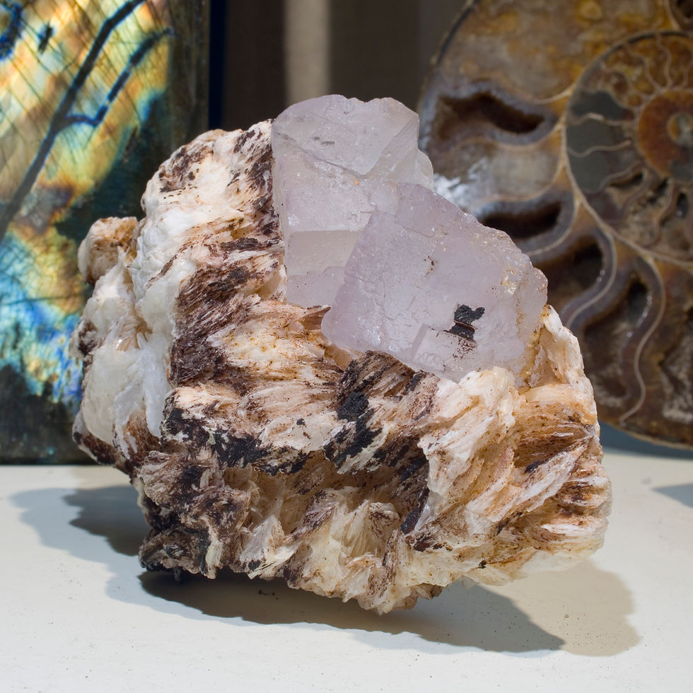 Thumbnail: Large Cubic Fluorite on Barite -  El Hammam Mine, Morocco - Studio Mineralia Earth Art Gallery