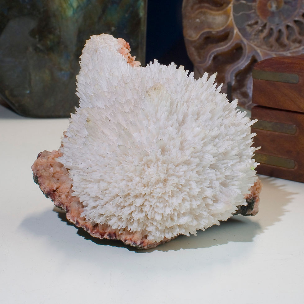 Thumbnail: Whether you see a Hedgehog, a Chicken or a Sheep this truly spectacular specimen of Scolecite on miniature Orange Heulandite