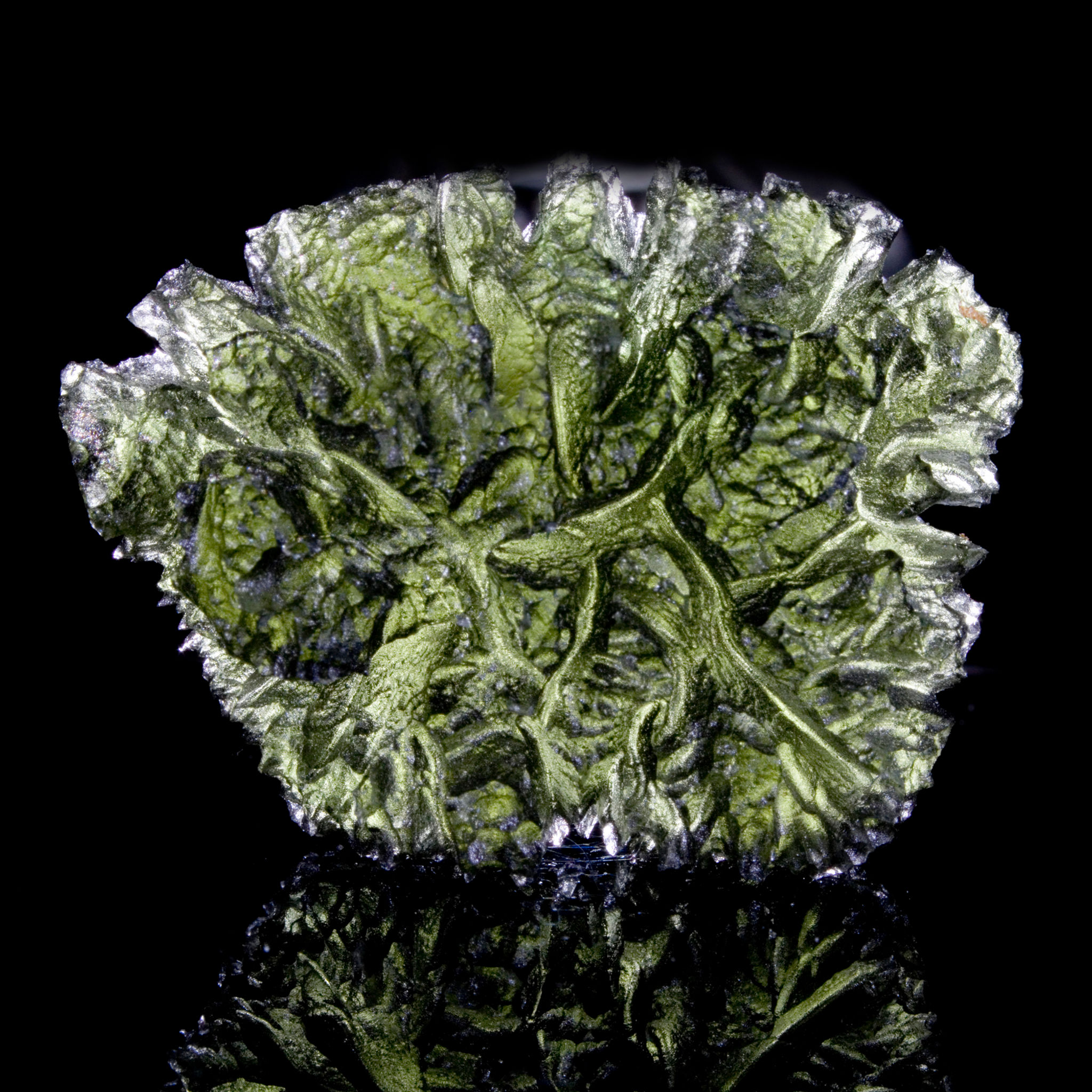 Moldavite 16.3 Grams - Besednice, Czech Republic - Studio Mineralia: The Earth Art Gallery